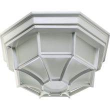 1 Light Flushmount Outdoor Ceiling Fixture with Beveled Frost Shade
