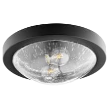 2 Light 13" Wide Flush Mount Bowl Ceiling Fixture