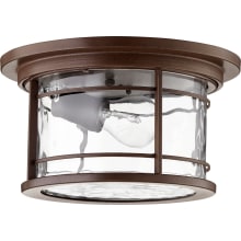 Larson Single Light 11-1/4" Wide Outdoor Flush Mount Drum Ceiling Fixture