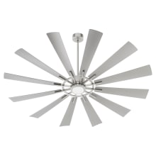 Cirque 72" 12 Blade Indoor / Outdoor Ceiling Fan with Wall Control