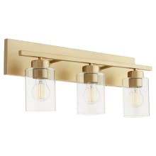 Carter 3 Light 22" Wide Vanity Light