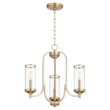 Collins 3 Light 19" Wide Chandelier