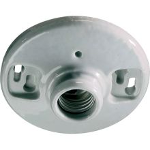 1 light Flushmount Ceiling Fixture