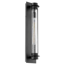 Roope 24" Tall Outdoor Wall Sconce