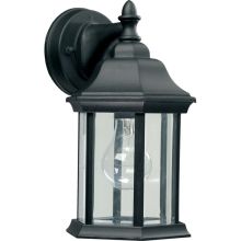 Single Light Outdoor Wall Sconce with Clear Shade