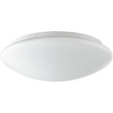 Single Light 12" Wide LED Flush Mount Ceiling Fixture with Acrylic Shade