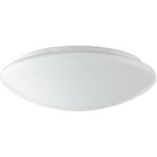 Single Light 14" Wide LED Flush Mount Ceiling Fixture with Acrylic Shade