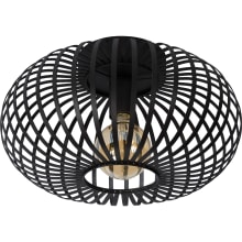 Modern 15.5"W Round Cage Ceiling Light with Vintage Bulb - Contemporary Industrial