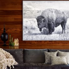 North Range 36" x 48" Wild Buffalo Print on Canvas with Hand Painted Accents