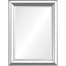 Hawkwell 40" x 30" Traditional Gallery Framed Wall Mirror with Beveled Edge