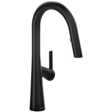 Ludik 1.6 GPM Single Hole Pull Down Kitchen Faucet