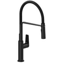 Mythic 1.8 GPM Single Hole Pre-Rinse Pull Down Kitchen Faucet