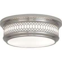 Tucker 12" Flush Mount Ceiling Fixture