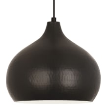 Dal 14" Wide Pendant