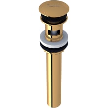 1-1/4" Push Drain Assembly