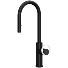Eclissi 1.8 GPM Single Hole Pull Down Bar Faucet