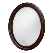 George 33" x 25" Oval Portrait Framed Traditional Wall Mirror
