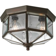 Evelyn 9" Wide 3 Light Flush Mount Outdoor Ceiling Fixture
