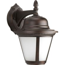 Maya 13" Tall LED Outdoor Wall Sconce with White Seeded Glass