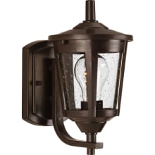 Madison 10" Tall Outdoor Wall Sconce with Seeded Glass Shade