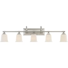 Barry 5 Light 42" Wide Bathroom Vanity Lights with Patterned/Etched Glass