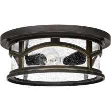 Clinton 2 Light 13" Wide Outdoor Flush Mount Ceiling Fixture with a Glass Shade