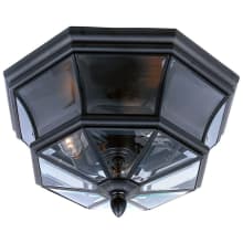 Gaines 3 Light 15" Wide Outdoor Ceiling Fixture with Clear Glass