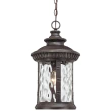 Roosevelt 1 Light 11" Wide Outdoor Pendant Lantern with Clear Water Glass