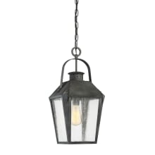 Cheatham Single Light 10" Wide Outdoor Lantern Style Pendant with Seedy Glass Shade