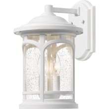 Clinton 3 Light 17-3/4" Tall Outdoor Wall Sconce with a Glass Shade