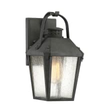Cheatham Single Light 12" Tall Outdoor Lantern Style Wall Sconce with Seedy Glass Shade