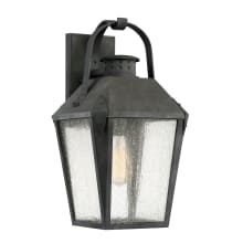 Cheatham Single Light 19" Tall Outdoor Lantern Style Wall Sconce with Seedy Glass Shade