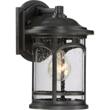 Clinton Single Light 11" Tall Outdoor Wall Sconce with a Glass Shade