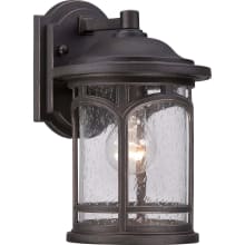 Clinton Single Light 11" Tall Outdoor Wall Sconce with a Glass Shade