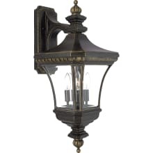 Custer 3 Light 25" Tall Outdoor Wall Sconce with Clear Glass
