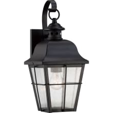 Lea Single Light 15-1/2" Tall Outdoor Wall Sconce with Seeded Glass Panels