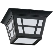 Wayne 2 Light 11" Wide Flush Mount Outdoor Ceiling Fixture with Etched Glass Shade
