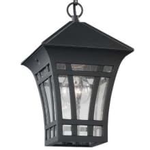 Wayne Single Light 7" Wide Outdoor Mini Pendant