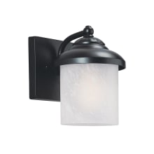 Cook Single Light 8" Tall LED Outdoor Wall Sconce with Swirled Marbleize Shade