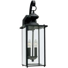 Whiteside 2 Light 20" Tall Outdoor Wall Sconce