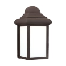 Kankakee Single Light 9" Tall Outdoor Wall Sconce