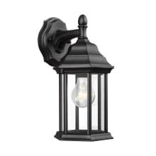 Hopedale Single Light 13" Tall Outdoor Wall Sconce with Clear Glass Panels