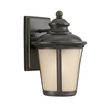 Sangamon Single Light 11" Tall LED Outdoor Wall Sconce with Etched Hammered Shade