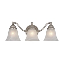 Carson 3 Light 19" Wide Bathroom Vanity Light