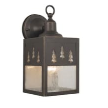 Leon 11" Tall Outdoor Wall Sconce