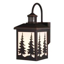 Brooks 15" Tall Outdoor Wall Sconce with Frosted Glass Shade