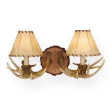 Jaden 2 Light 17" Tall Wall Sconce