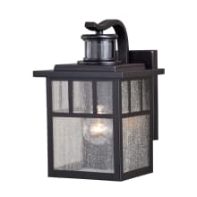 Eric 11" Tall Outdoor Wall Sconce with Glass Shade