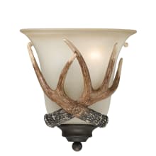 Dylan Single Light 10" Tall Wall Sconce