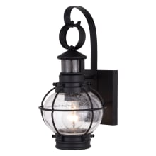 Thiago 14" Tall Outdoor Wall Sconce with Seedy Glass Shade